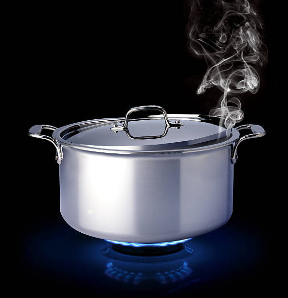 istock Boiling pot cooking on gas 541304114