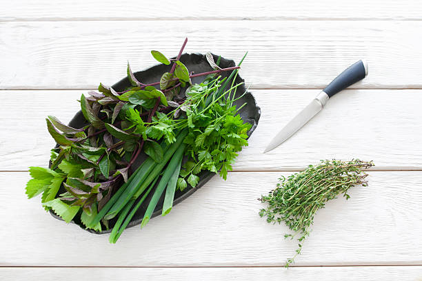 istock Plate with flavoring, knife and thyme on white 541304196