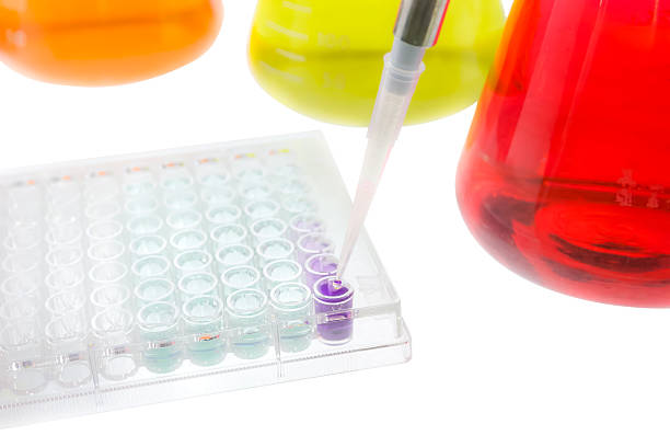 istock test sample research test lab elisa ninety-six well plate analysis 541304286