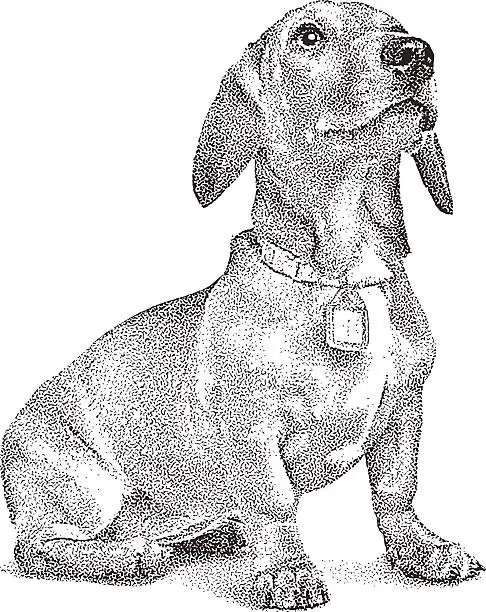 Vector illustration of Cute Dachshund Puppy