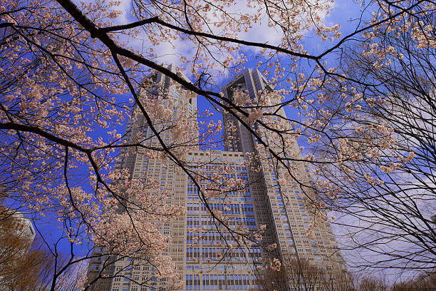 istock Tokyo Metropolitan government 541304654