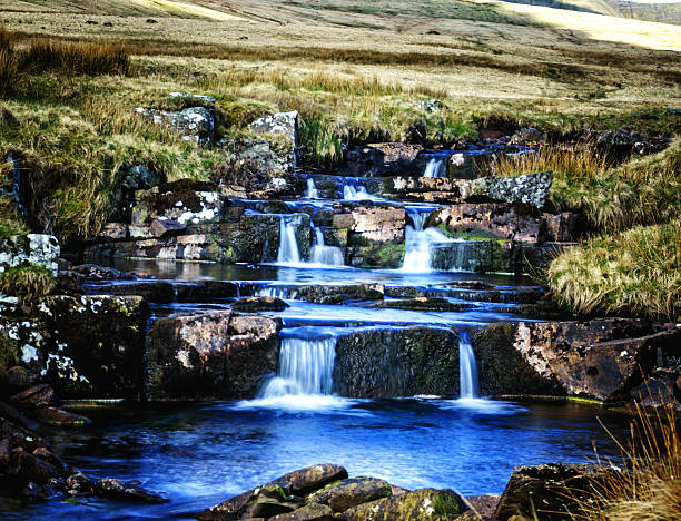 istock Welsh river on edge of the Brecon Beacons 541305242