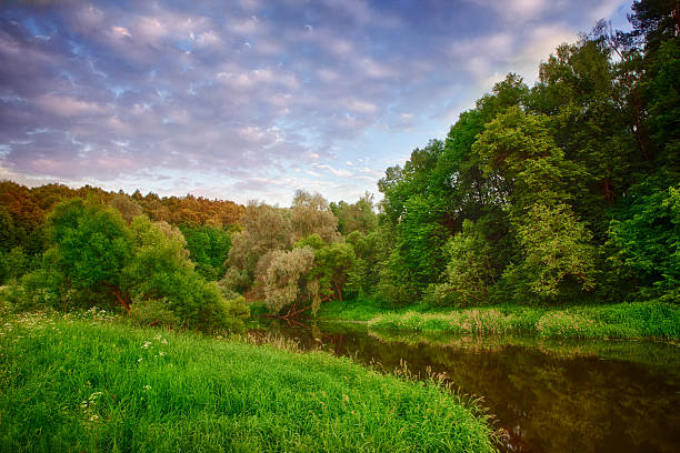 istock Colorful summer evening on the mountain river. 541307300