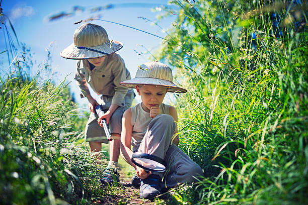 istock Little safari boys exploring the dangerous bushes 541307938