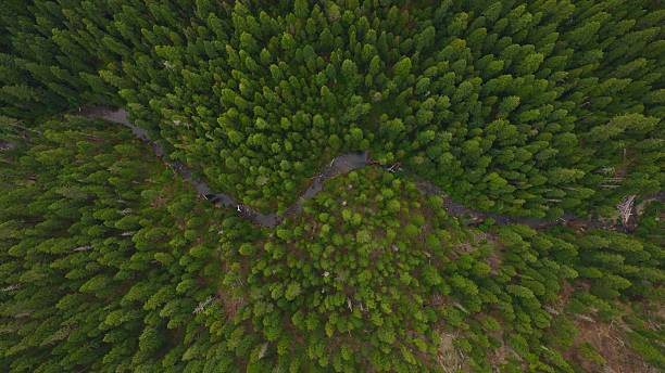Headwaters of the South Umpqua River