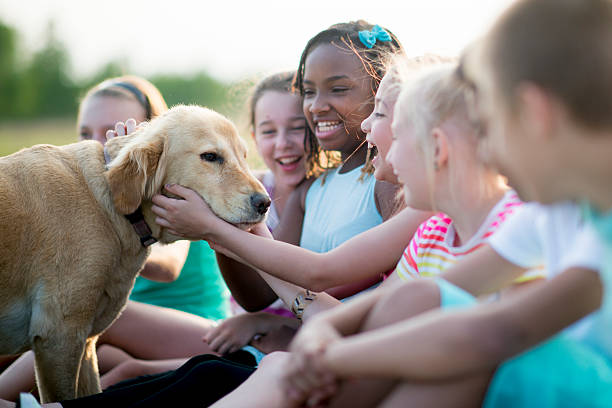 A multi-ethnic group of elementary age children are outside in the grass at recess. They are sitting in a row and are petting a dog together.