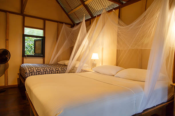 istock luxury bed on room from a tropical paradise 541311746