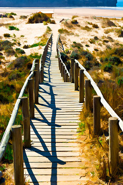 istock Wooden Footbridge 541311984
