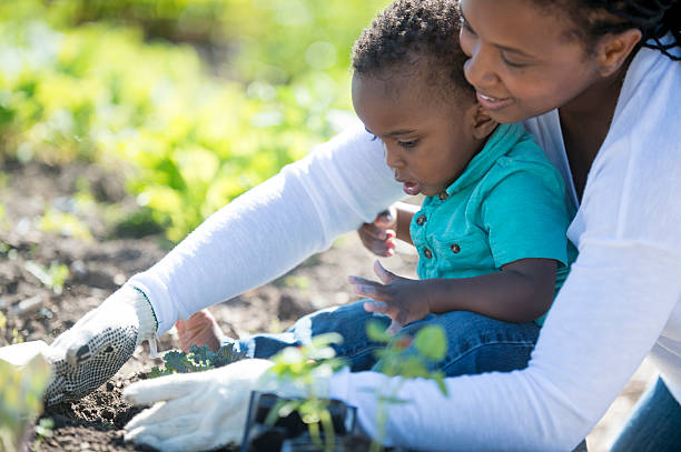 istock Planting a Garden 541313226