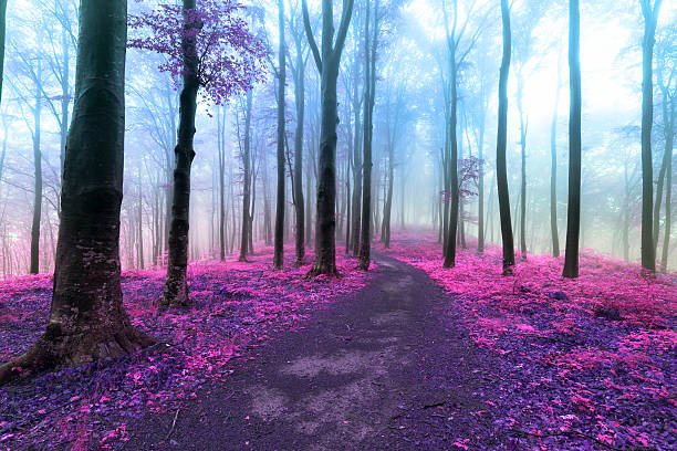 istock Other worldly colors in the forest 541564822
