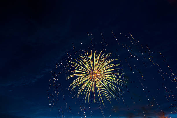 istock Beautiful colorful fireworks on sky. 541565166
