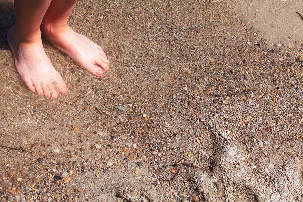 istock Child's Feet on Beach in Water 541566256