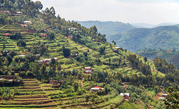 Houses and terraces against a hill in Rwanda A steep hill in the Muvumba river valley in Rwanda, entirely covered with terraced fields and dotted with houses.  In the background the same landscape is repeated on other hills. rwanda stock pictures, royalty-free photos & images