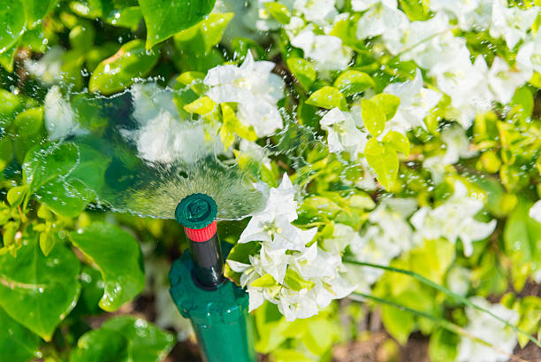 istock Water springer in the garden with plant 541568140