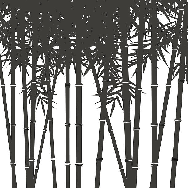 sylwetki tło z bambusa - bamboo shoot bamboo japanese culture paintings stock illustrations