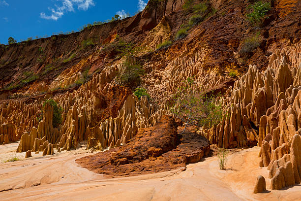 istock Red Tsingy - Sand Formations in Madagascar, Africa. 541570348