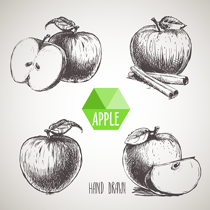 Set of hand drawn sketch apples.  Organic eco food.Vector picture set