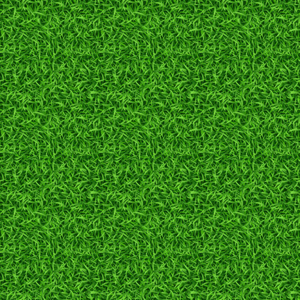 ilustraciones, imágenes clip art, dibujos animados e iconos de stock de patrón vectorial de hierba verde sin costuras - grass