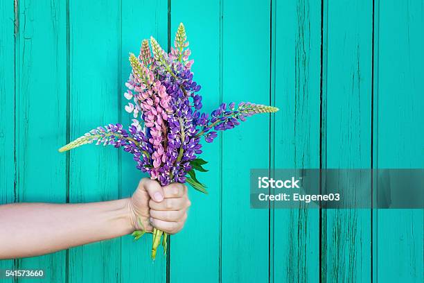 Human Hand Is Holding A Bouquet Of Wildflowers Celebration Scene Stock Photo - Download Image Now