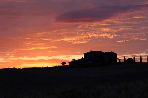 A landscape of a Tuscany countryside in sunset colours with silhuette of cypress trees and typical tuscany farmhouse.