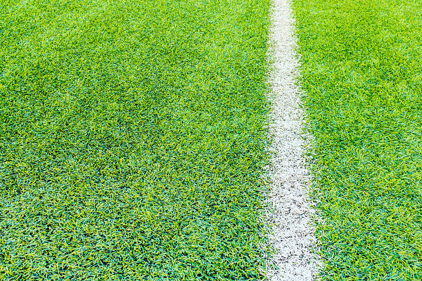 istock The football field line with artificial grass 541574356