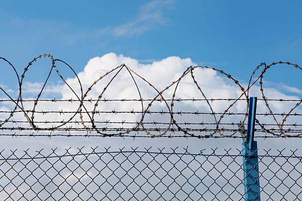 istock Barbed wire fence of a restricted area under blue sky 541574954