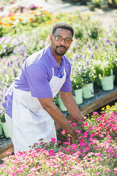 istock African American man working in plant nursery 541575126