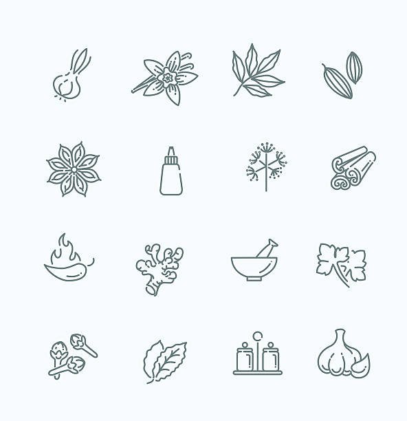 illustrazioni stock, clip art, cartoni animati e icone di tendenza di set di icone web-condimenti e spezie, erbe aromatiche - vaniglia spezia