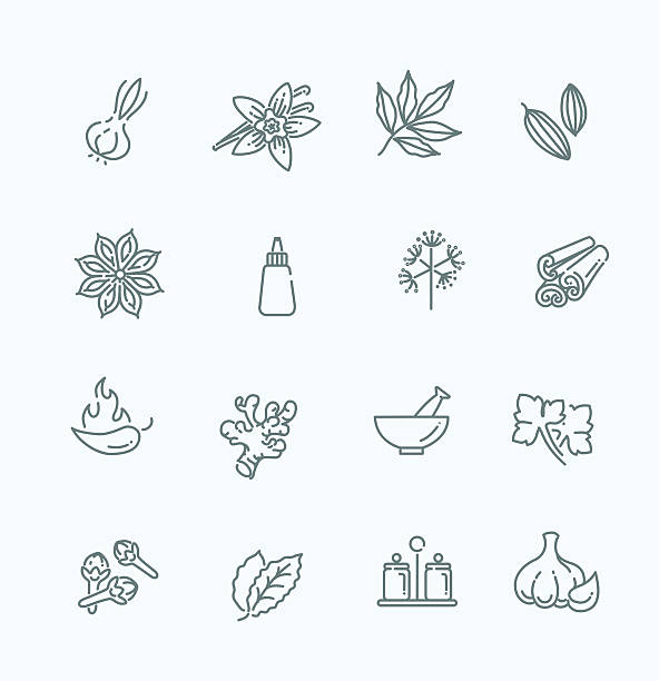 Web icon set - spices, condiments and herbs outline icon set - spices, condiments and herbs river salt stock illustrations