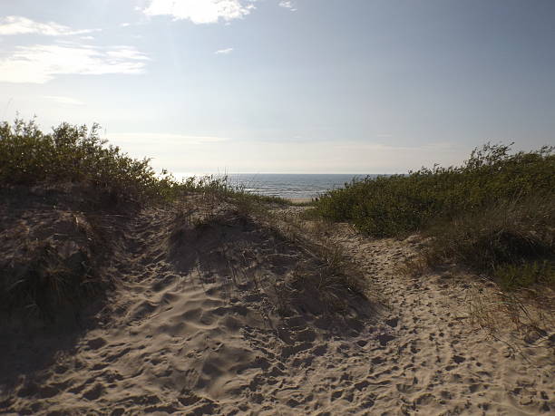 istock Beach dunes with a beautiful sand 541578394