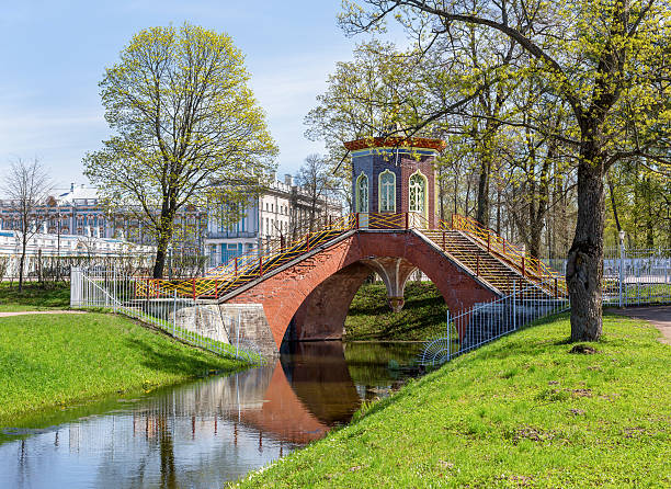 vivid green park view in pushkin, russia - house florida real estate mansion imagens e fotografias de stock