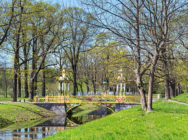 vivid green park view in pushkin, russia - house florida real estate mansion imagens e fotografias de stock