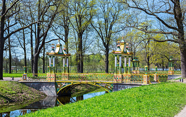 vivid green park view in pushkin, russia - house florida real estate mansion imagens e fotografias de stock