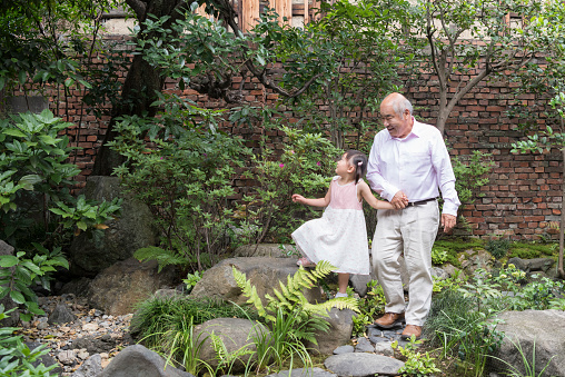 Granddaughter with senior Japanese man walking through rockery together looking at plants enjoying being outside