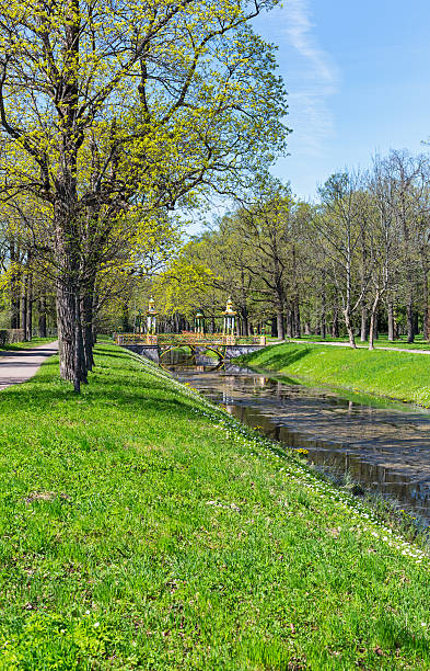 vivid green park view in pushkin, russia - house florida real estate mansion imagens e fotografias de stock