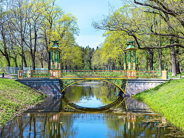 vivid green park view in pushkin, russia - house florida real estate mansion imagens e fotografias de stock