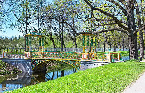 vivid green park view in pushkin, russia - house florida real estate mansion imagens e fotografias de stock