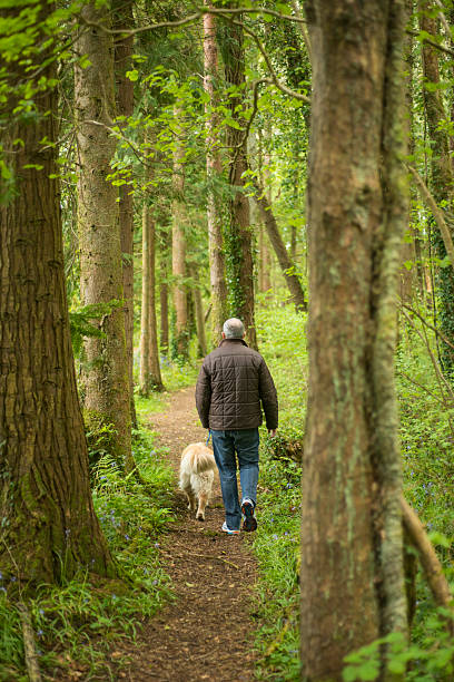 istock man in woods walking with his dogs 541585206