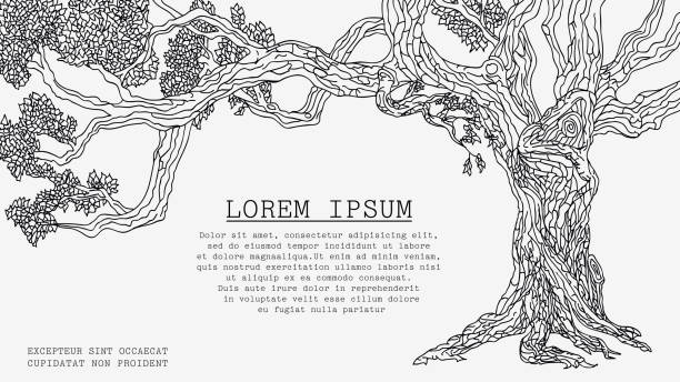 Old Tree Sketch Old Tree. Vector Sketch Isolated on White Background Has a Special Place for an Inscription roots clip art stock illustrations