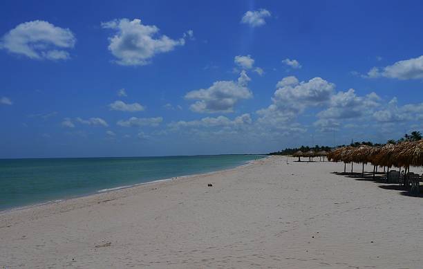 istock beach and ocean panoramic Sisal Mexico 541591078