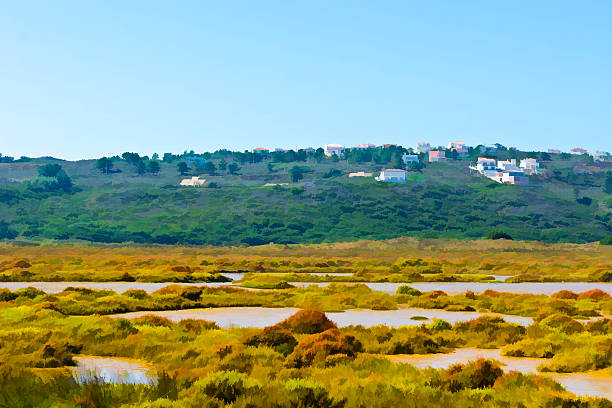ポルトガルの湿地  - sea beach mud flat mud ストックフォトと画像