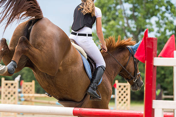 pferdespringprüfung - horse show jumping jumping performance stock-fotos und bilder