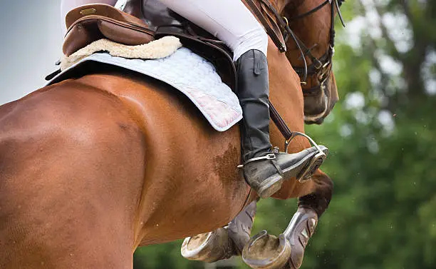 Photo of Horse riding dressage