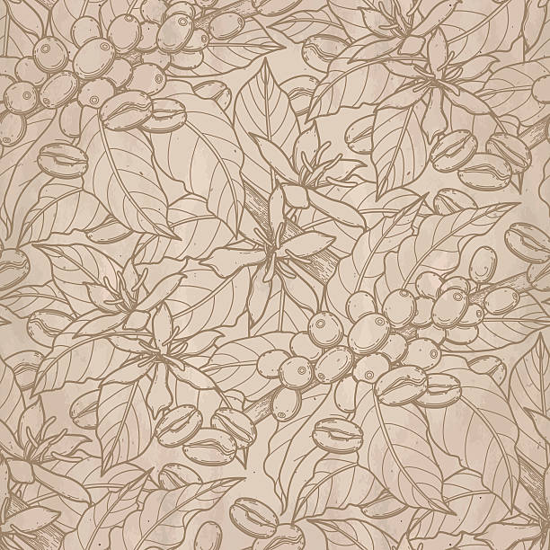 kaffee-muster - coffee beans stock-grafiken, -clipart, -cartoons und -symbole