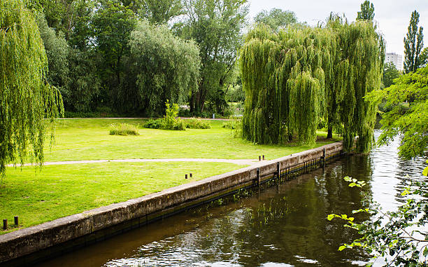 istock Water full canal Potsdam Germany 541599382