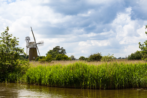reeds and sedge beds windmill and river on Norfolk Broads