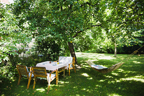 englischer garten im sommer - teak tree stock-fotos und bilder