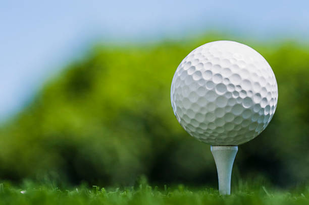 ângulo baixo de uma bola de golfe no tee, de madeira - teeing off imagens e fotografias de stock