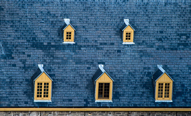 istock Blue Tiled Roof with dormers 541601192