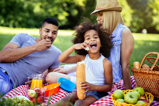 Family enjoying picnicking in nature